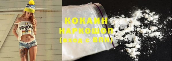 индика Абаза