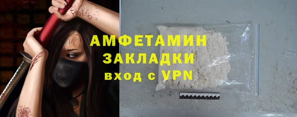 индика Абаза