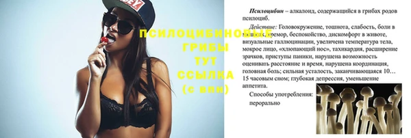 индика Абаза