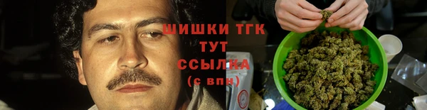 индика Абаза