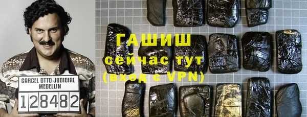 индика Абаза