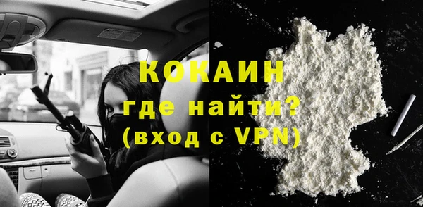 индика Абаза