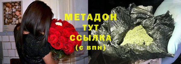 индика Абаза