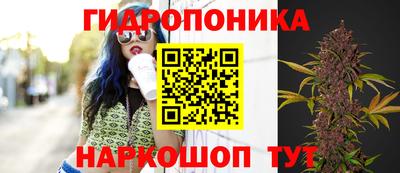 марки nbome Новозыбков
