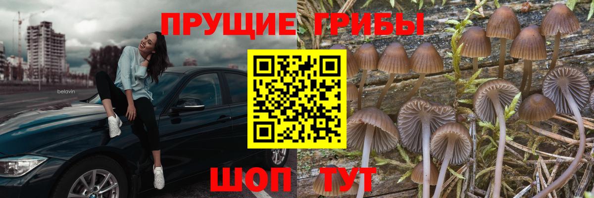 Ялуторовск  Галлюциногенные грибы Cubensis  Вход с VPN 